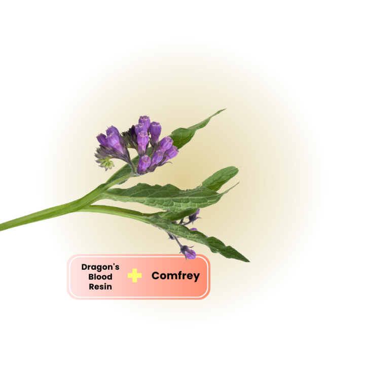 Olivoil Glutamate Emulsifier (2)