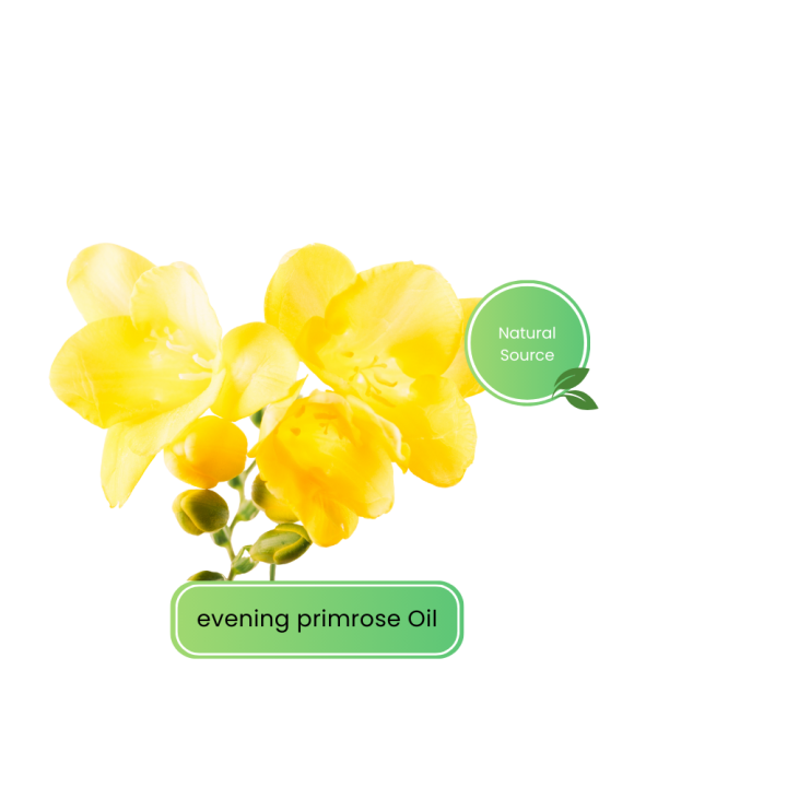 Olivoil Glutamate Emulsifier