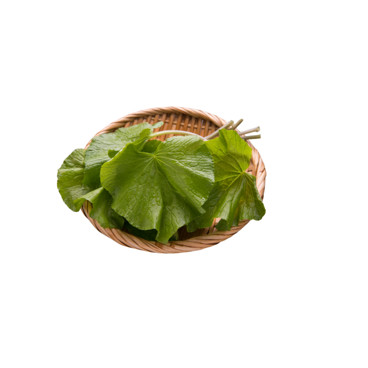 Wasabi FlavoneTM-Photoroom.png-Photoroom