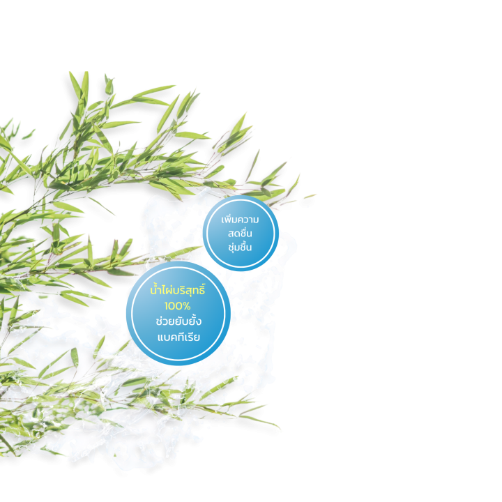 Wature AppleTM C (2)