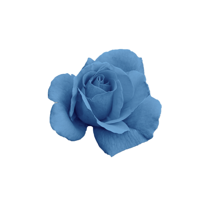 aurumblue1